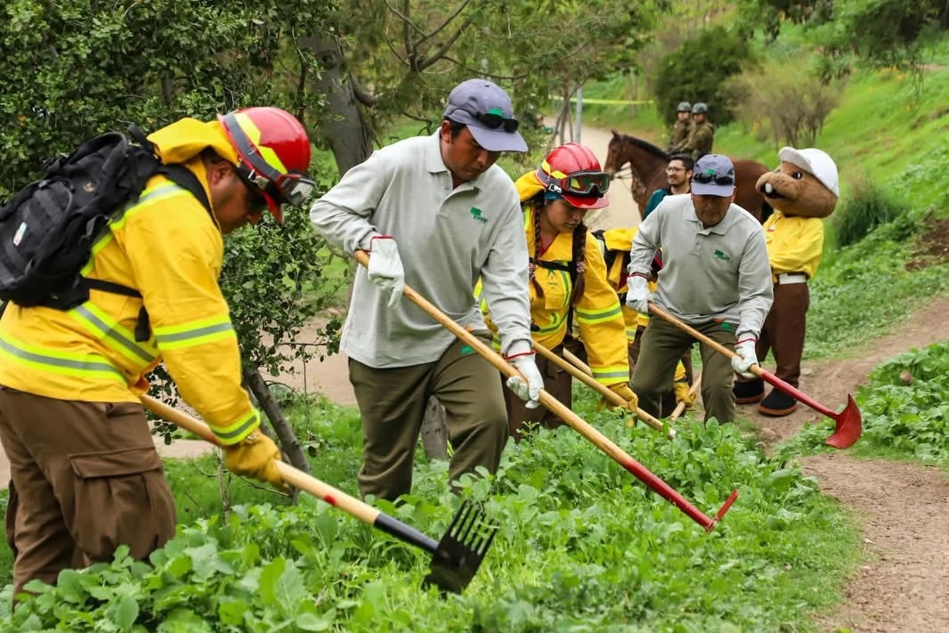 CONAF abrirá 1.500 nuevos empleos para reforzar la prevención de…