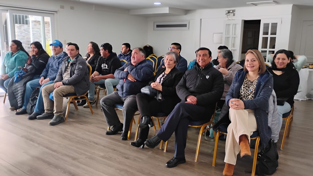 NUEVE PROYECTOS DE LA ARAUCANÍA SE ADJUDICAN EL FONDO CONCURSABLE…