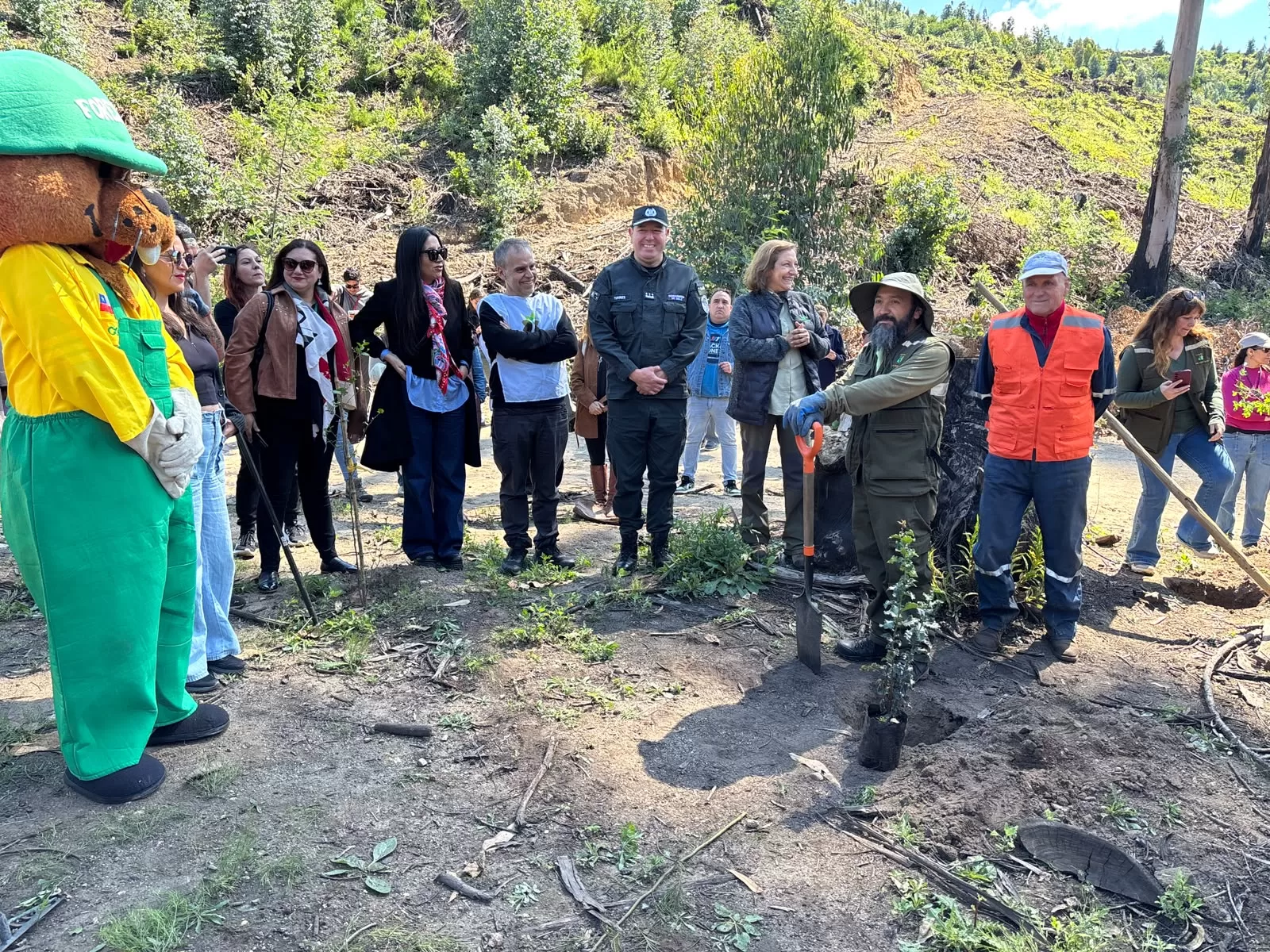 Inician plantación de 900 árboles nativos en el Jardín Botánico de…