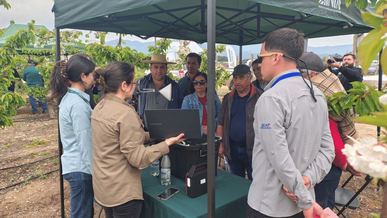 INIA capacita a productores de O’Higgins en detección y manejo de…
