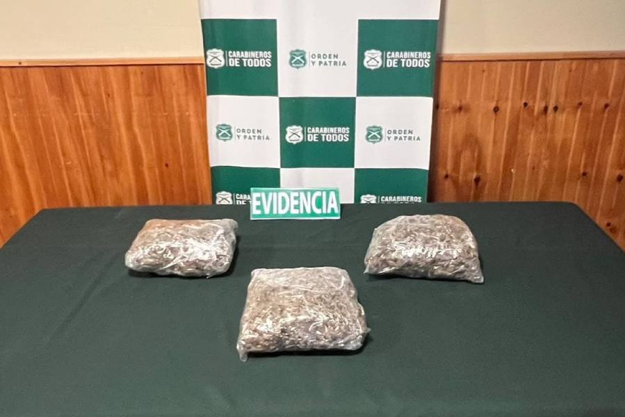 Carabineros detiene a hombre con más de 3 kilos de marihuana tras…