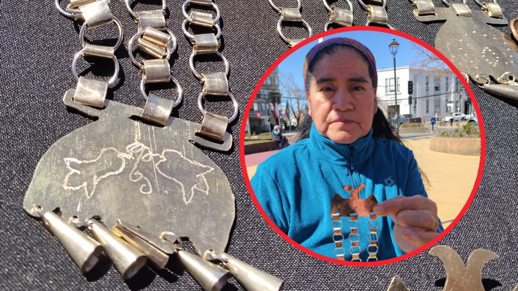 La historia de Amandina: La emprendedora de Alto Biobío que recuperó…