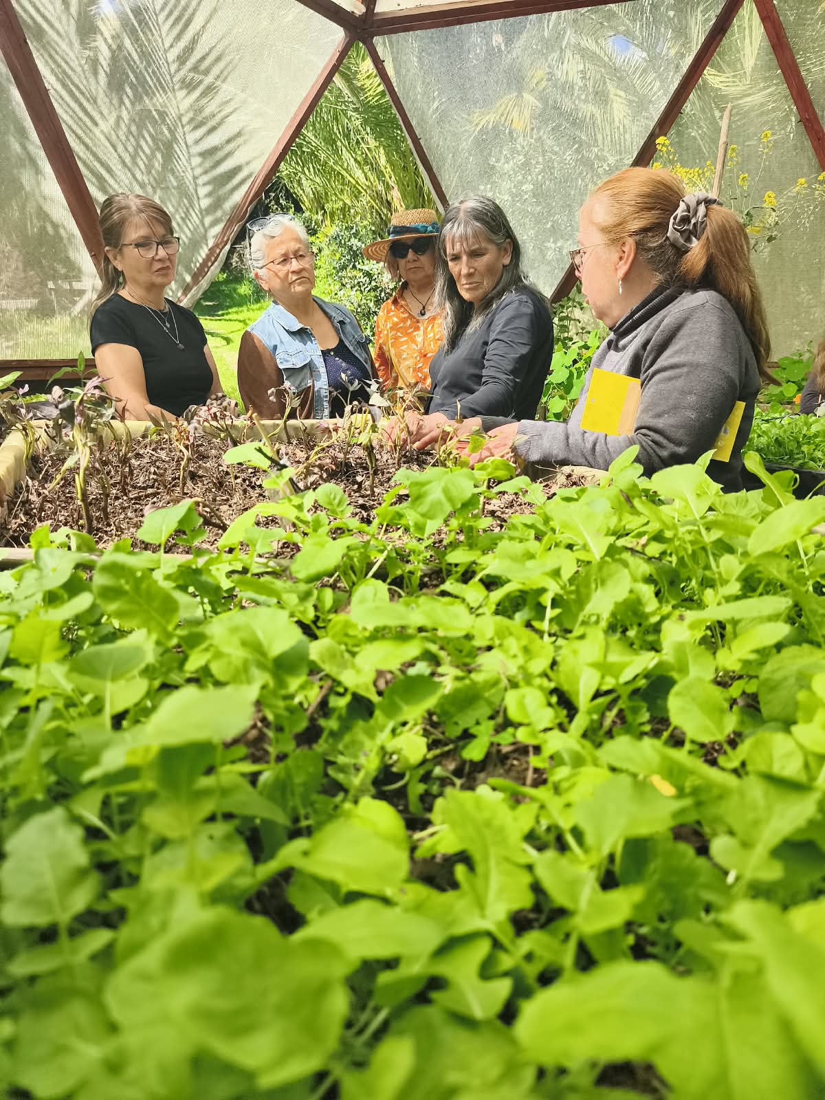 Aprendizaje práctico y agricultura sustentable marcan el segundo año…