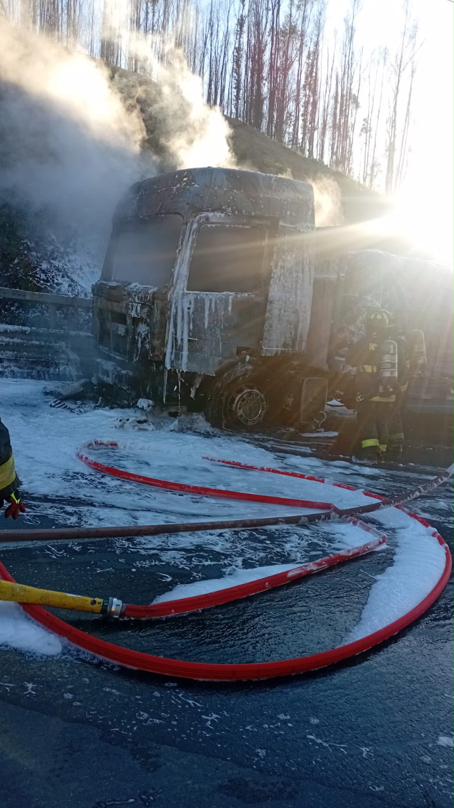 Camión con carga de fertilizante se incendió en la Ruta del Itata.