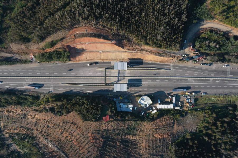 Ruta del Itata: Peaje Agua Amarilla comienza operación con sistema…
