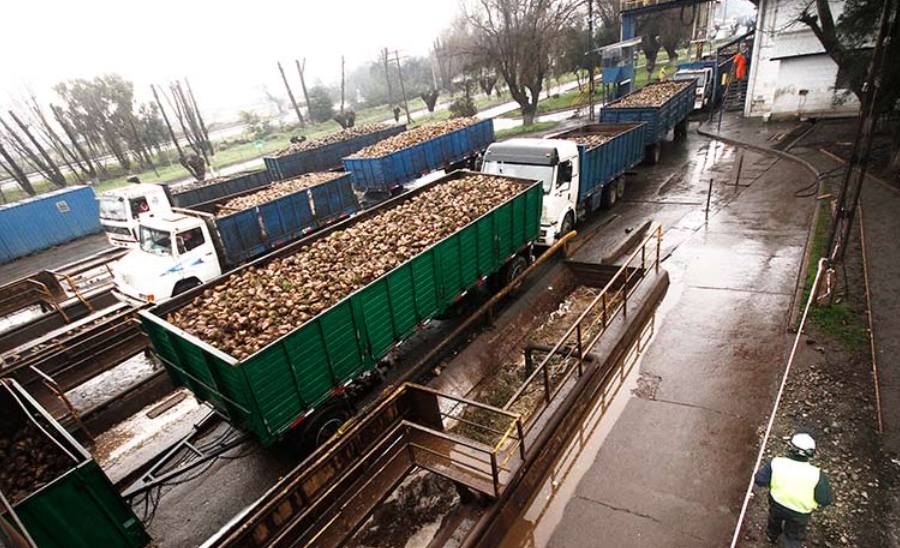 Consejo Regional GTT de Ñuble abordará las perspectivas económicas…