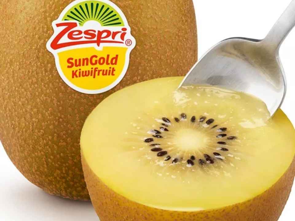 Zespri evalúa abastecerse de kiwi SunGold cultivado en China para…