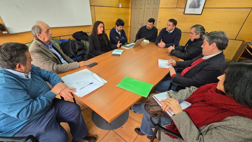 MINISTERIO DE TRANSPORTES Y OPERADORES GARANTIZAN LA CONTINUIDAD DEL TRANSPORTE PÚBLICO EN VILLARRICA