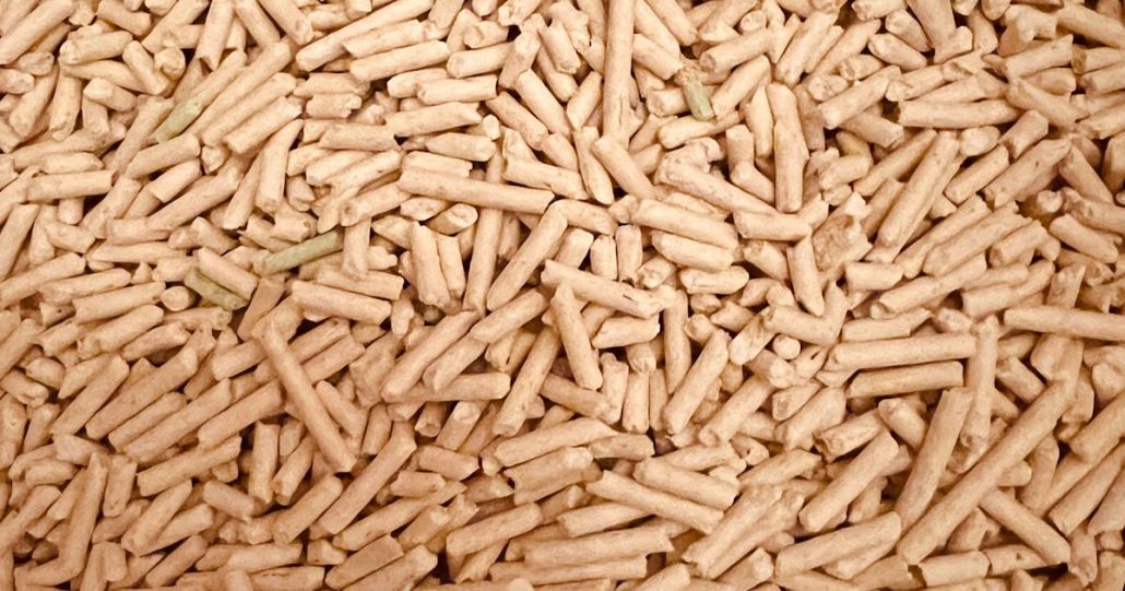 ¿Falta pellet en el Biobío? Explican las razones de posible…