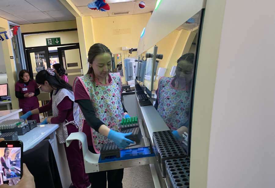 Cáncer de tiroides registra 66 casos en Ñuble durante 2026
