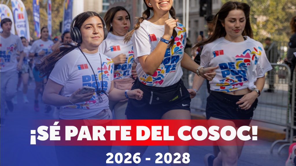 LA ARAUCANÍA ABRE EL PROCESO DE POSTULACIÓN PARA INTEGRAR EL COSOC…