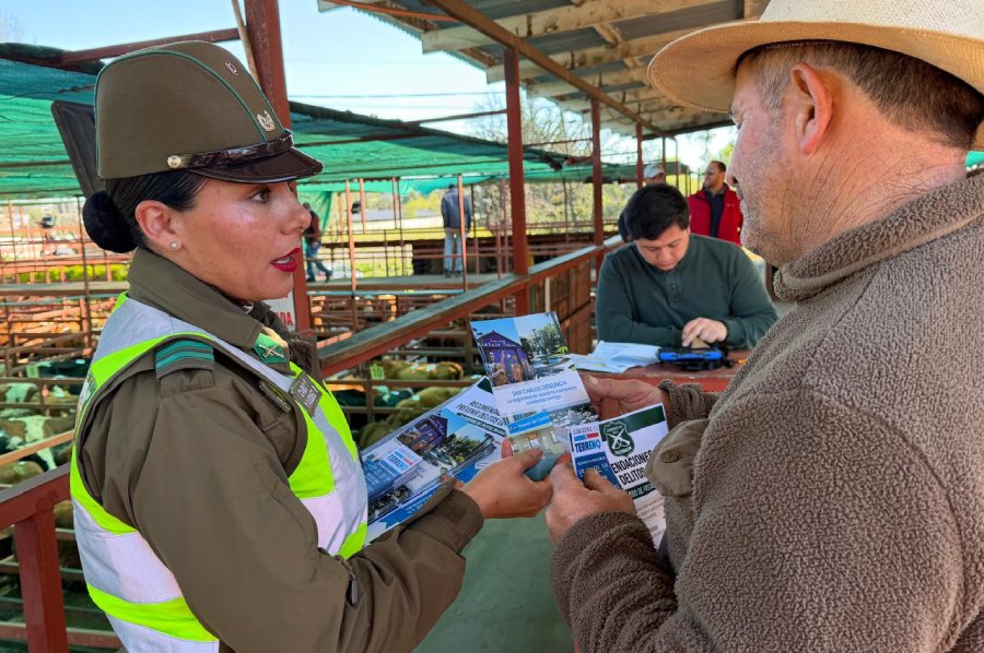 Realizan operativo preventivo contra el abigeato en San Carlos