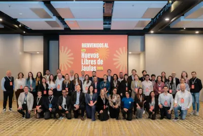 Reportaje | El negocio del huevo enfrenta un cambio global