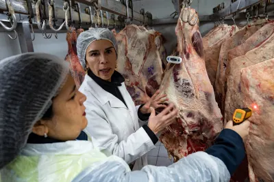 Fiestas Patrias: Seremi de Salud registra 3 toneladas de carne…